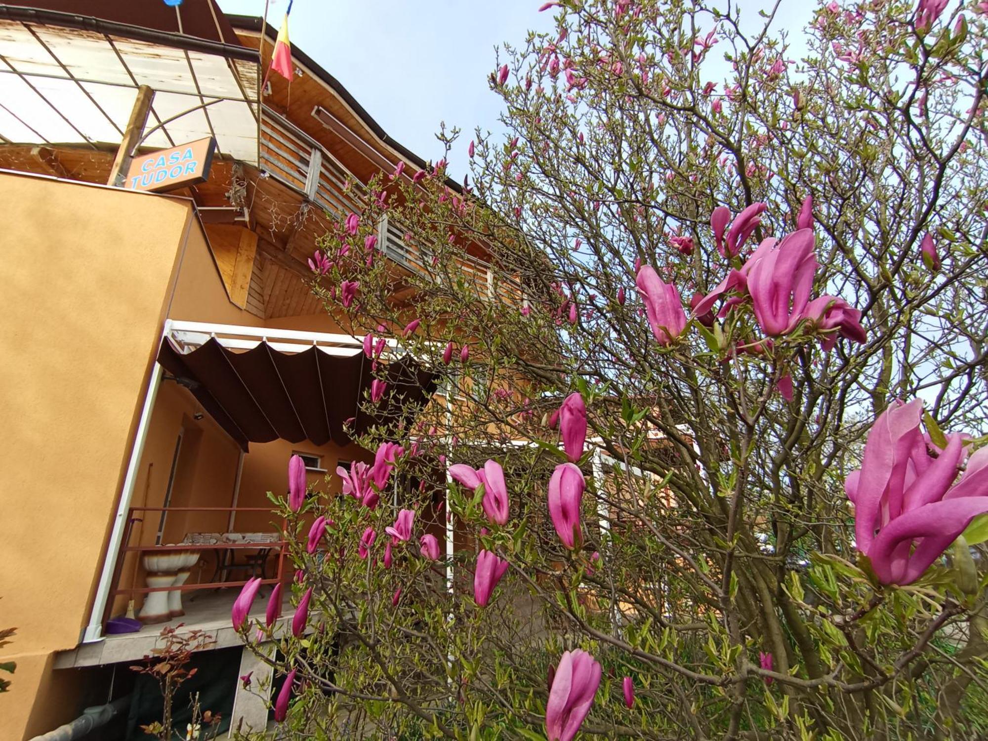 Casa Tudor Turda Dış mekan fotoğraf